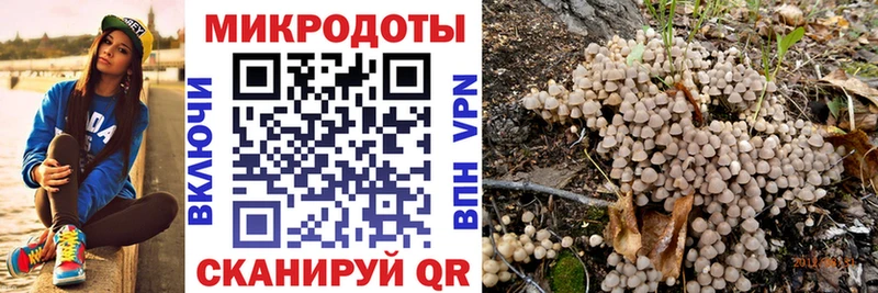 Псилоцибиновые грибы GOLDEN TEACHER  наркошоп  Приморско-Ахтарск 